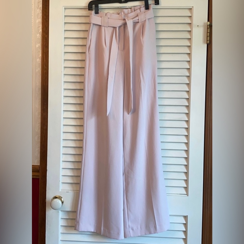 Express Wide Leg Pants